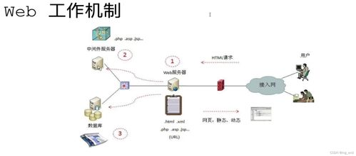 網(wǎng)絡(luò)安全學(xué)習(xí)路徑 從滲透測試到軟件開發(fā)的全方位指南